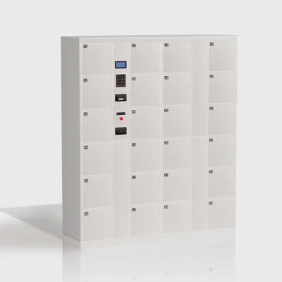 Supermarket storage locker with multiple compartments